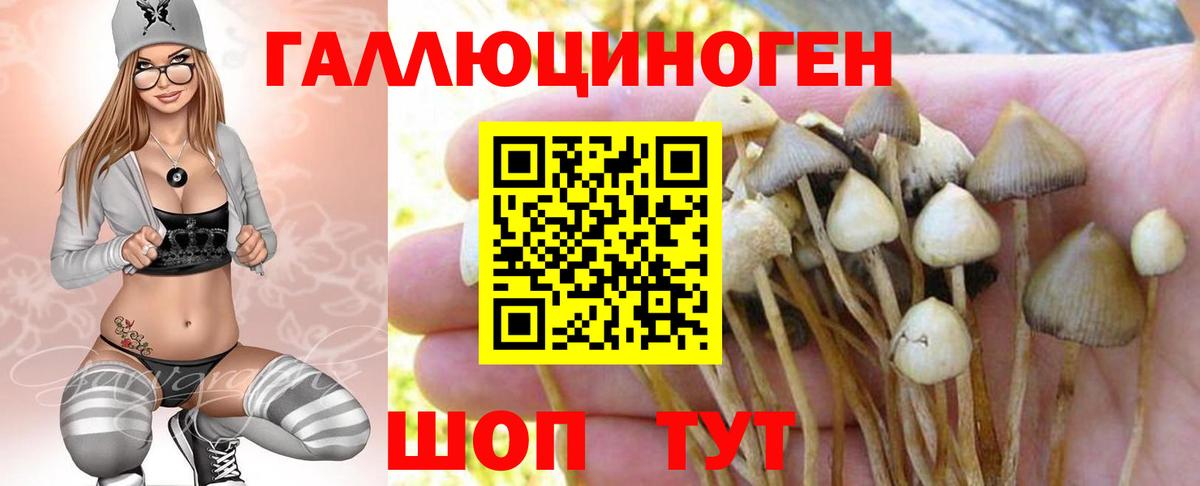Псилоцибиновые грибы GOLDEN TEACHER Минеральные Воды